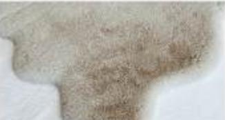 Artificial Beige Rabbit Fur Rug: Soft Beige Fluffy Carpet