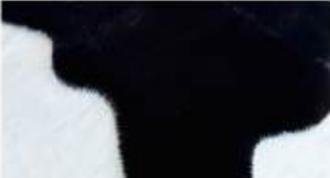 Black Faux Rabbit Fur Rug: Soft Plush Area Rug