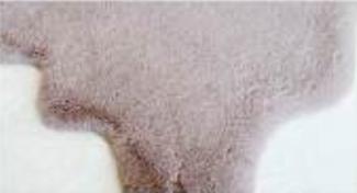 Artificial Pink Rabbit Fur Rug: Soft Plush Faux Fur Carpet